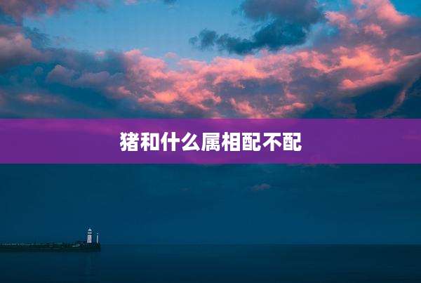 猪和什么属相配不配