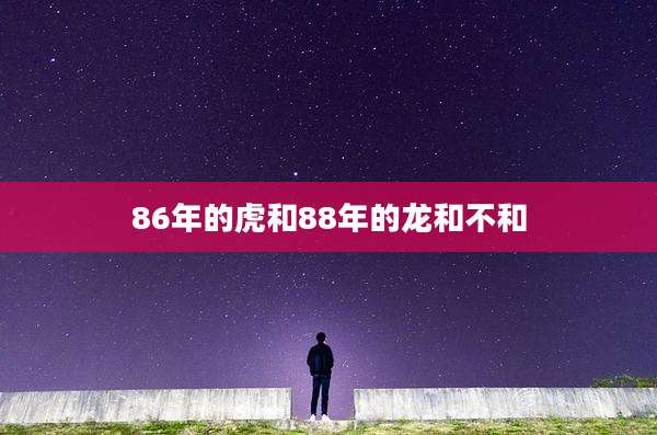 86年的虎和88年的龙和不和