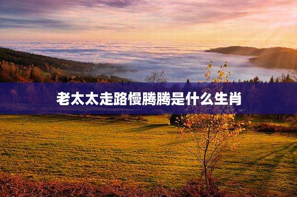 老太太走路慢腾腾是什么生肖