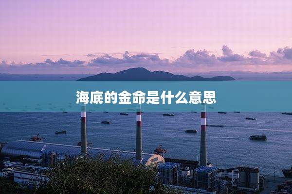 海底的金命是什么意思