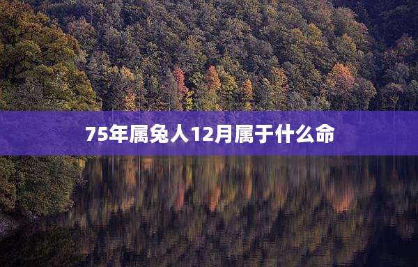 75年属兔人12月属于什么命