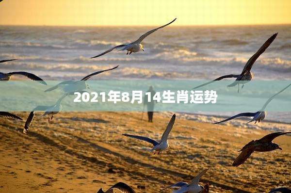 2021年8月14生肖运势