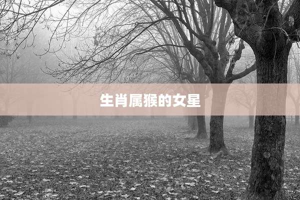 生肖属猴的女星