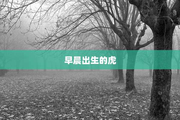 早晨出生的虎
