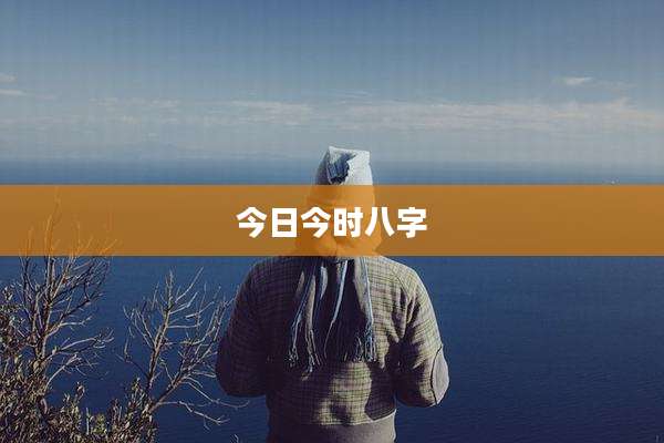 今日今时八字