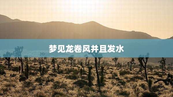 梦见龙卷风并且发水