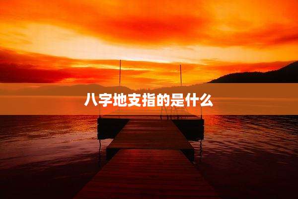 八字地支指的是什么