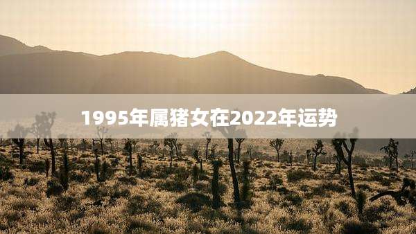 1995年属猪女在2022年运势
