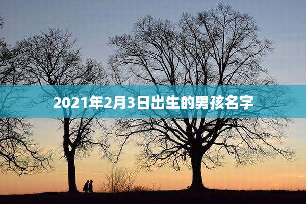 2021年2月3日出生的男孩名字