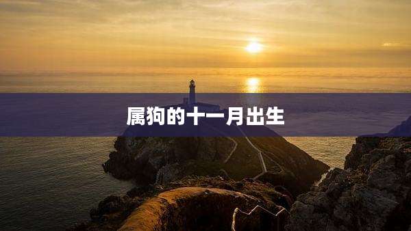 属狗的十一月出生