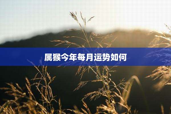 属猴今年每月运势如何