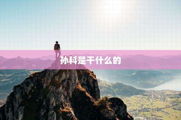 孙科是干什么的