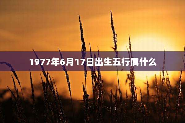 1977年6月17日出生五行属什么