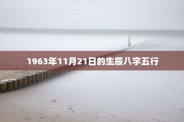 1963年11月21日的生辰八字五行