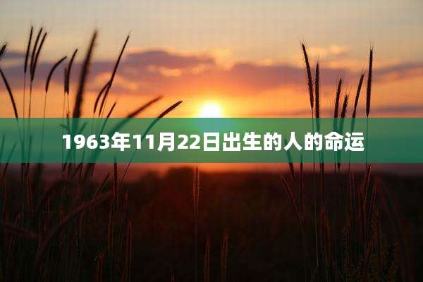 1963年11月22日出生的人的命运