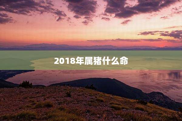 2018年属猪什么命