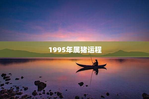 1995年属猪运程