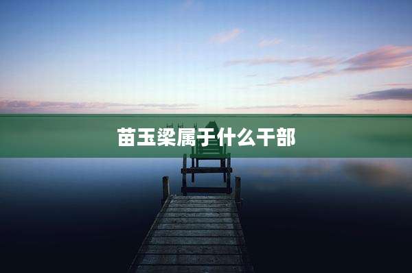 苗玉梁属于什么干部