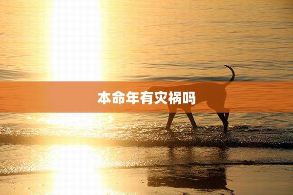 本命年有灾祸吗