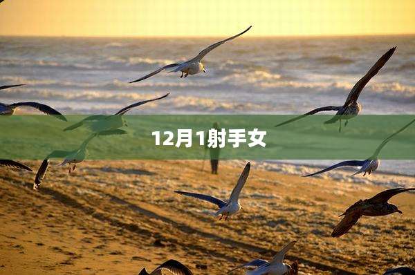 12月1射手女