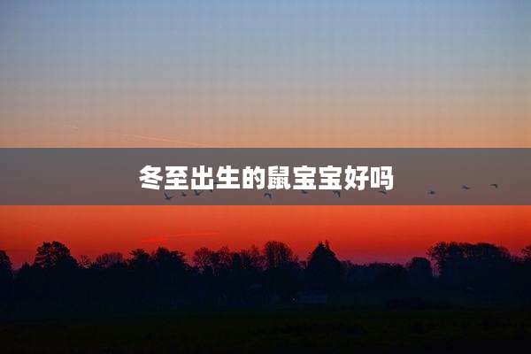 冬至出生的鼠宝宝好吗
