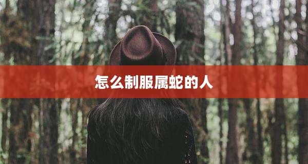 怎么制服属蛇的人