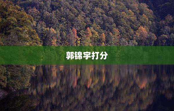 郭锦宇打分