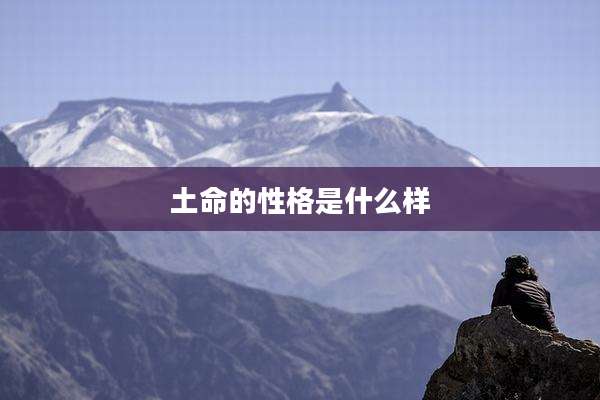 土命的性格是什么样