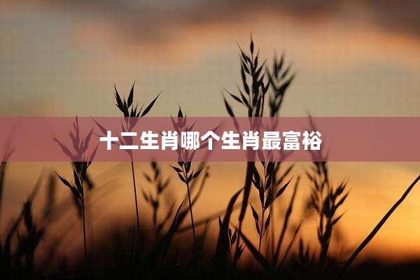 十二生肖哪个生肖最富裕