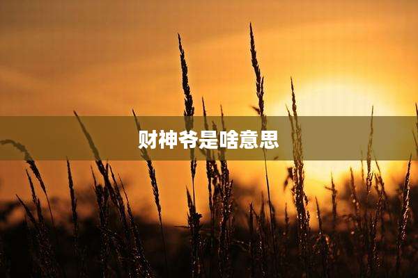 财神爷是啥意思