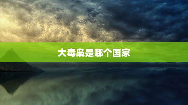 大毒枭是哪个国家