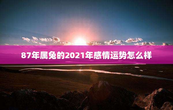 87年属兔的2021年感情运势怎么样