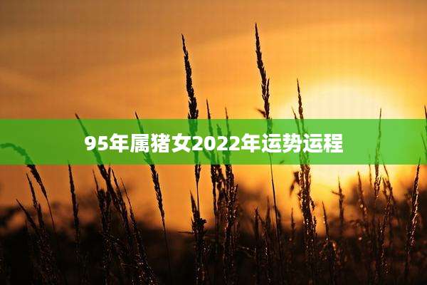 95年属猪女2022年运势运程