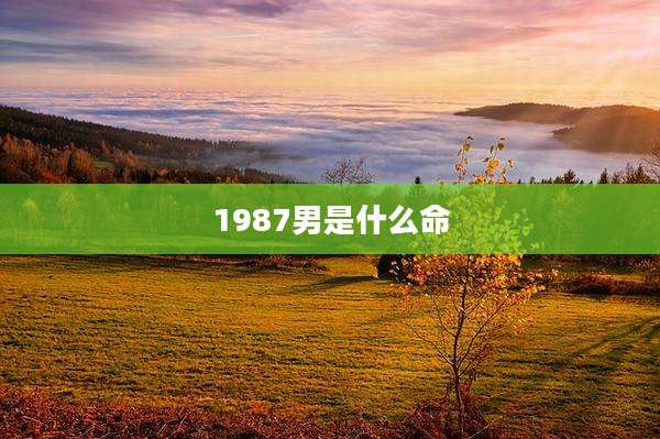 1987男是什么命