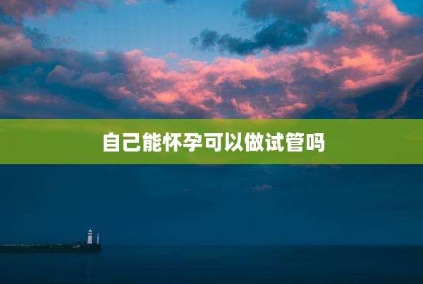 自己能怀孕可以做试管吗
