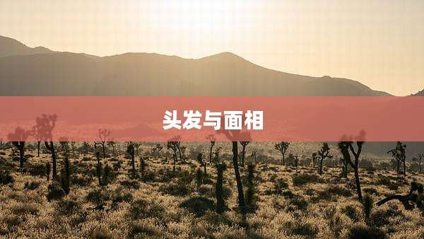 头发与面相