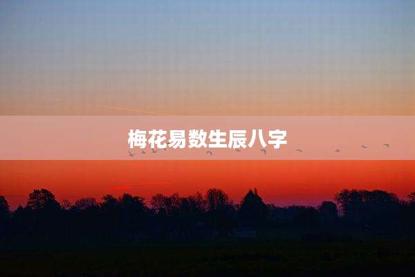 梅花易数生辰八字