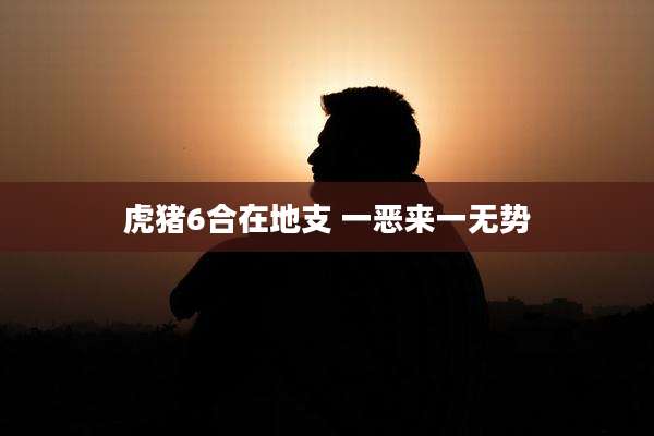 虎猪6合在地支 一恶来一无势
