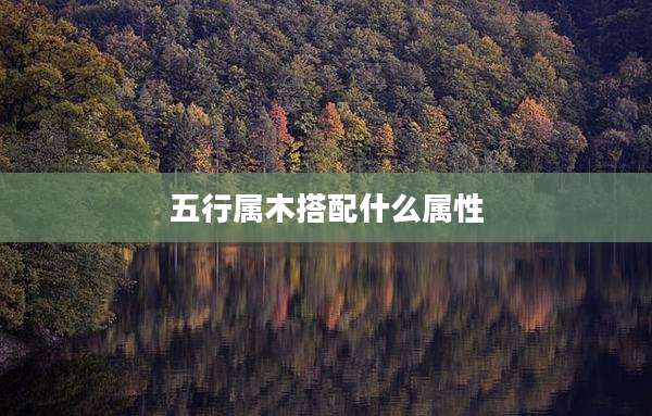 五行属木搭配什么属性