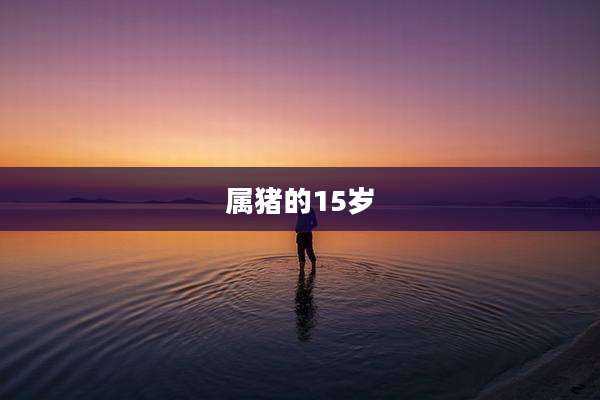 属猪的15岁