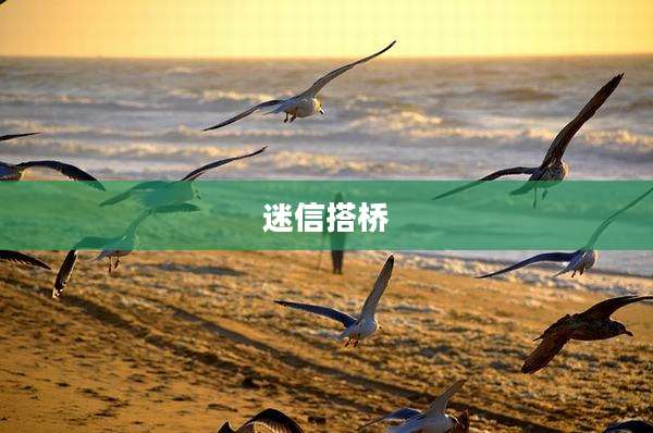 迷信搭桥