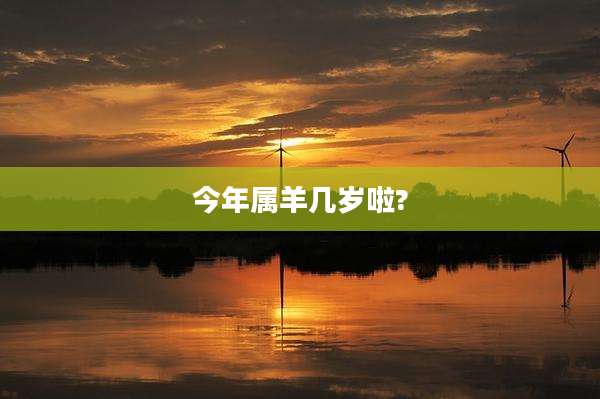 今年属羊几岁啦?