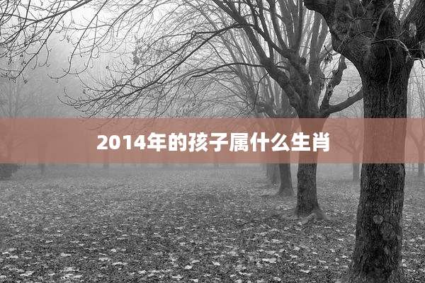 2014年的孩子属什么生肖