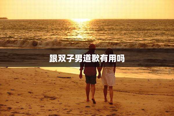 跟双子男道歉有用吗