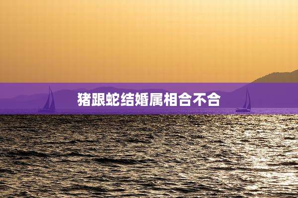 猪跟蛇结婚属相合不合