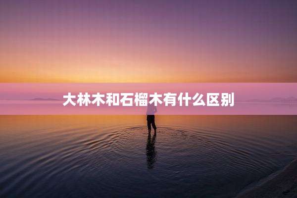 大林木和石榴木有什么区别