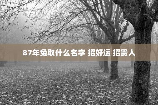 87年兔取什么名字 招好运 招贵人