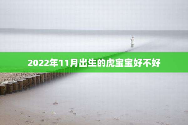 2022年11月出生的虎宝宝好不好