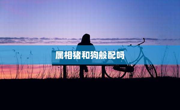 属相猪和狗般配吗