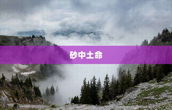 砂中土命